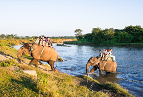 Chitwan Jungle Activities